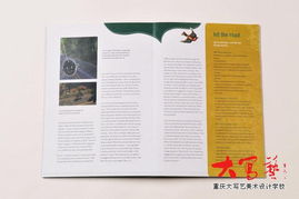 设计师Carolina Medeiros的书籍设计艺术及其对室内外平面图文设计的启示——以重庆、成都家装饰设计师培训为参考